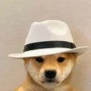 WHITEHATS
