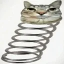 rebondit