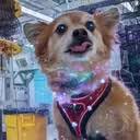 QUBIT