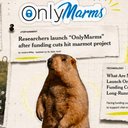 OnlyMarms logo