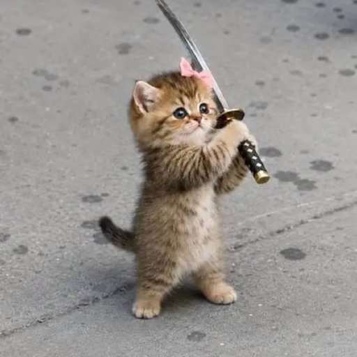 CATANA