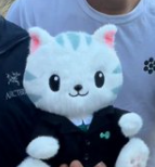 Hypurr