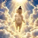 ASCEND