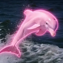 PINKY