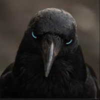 Crow