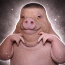 Wildin Pigger logo