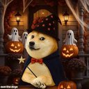 Dogeween