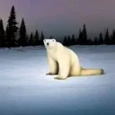 BEAR2026
