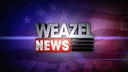 Weazel