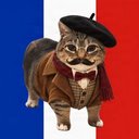 OUIOUI