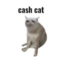 CASHCAT logo