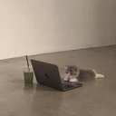 MAC