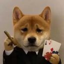 CASINU