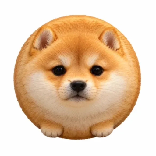 koinu