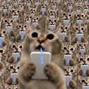 COPYCAT